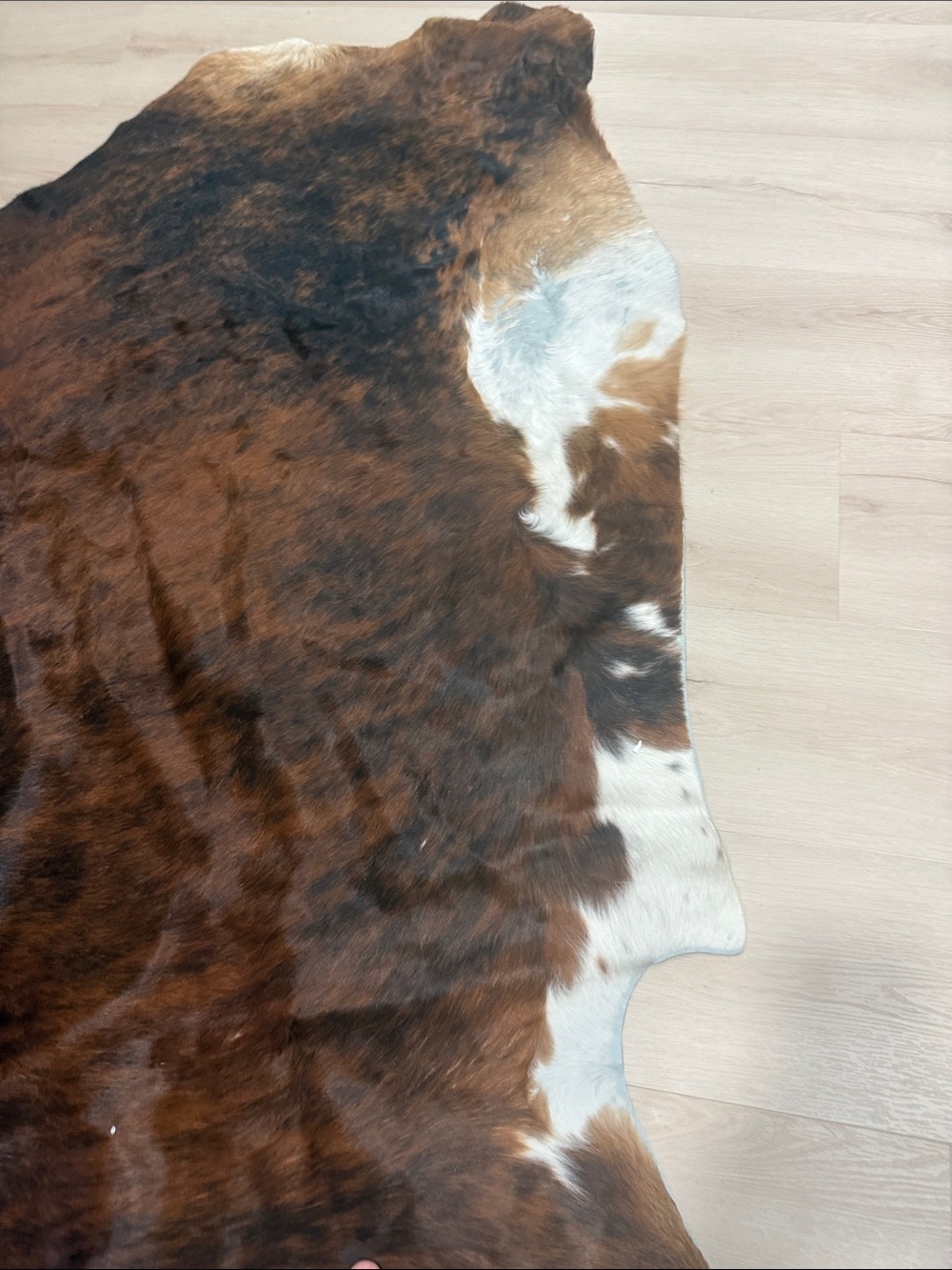 Brown and White Cowhide Rug - Luxurious Natural Hide Accent 89x70 - Picture 4 of 4